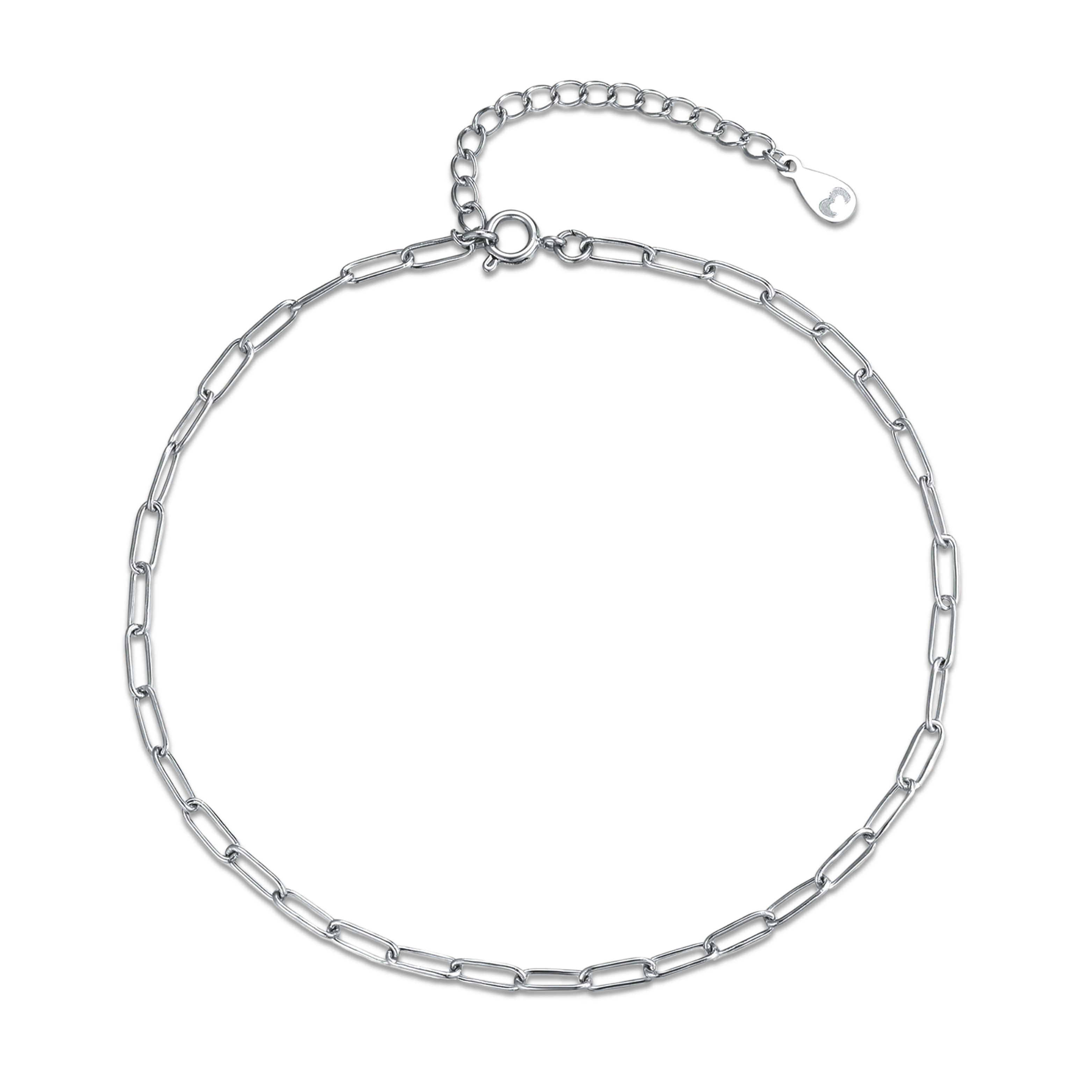 Fine Link Anklet