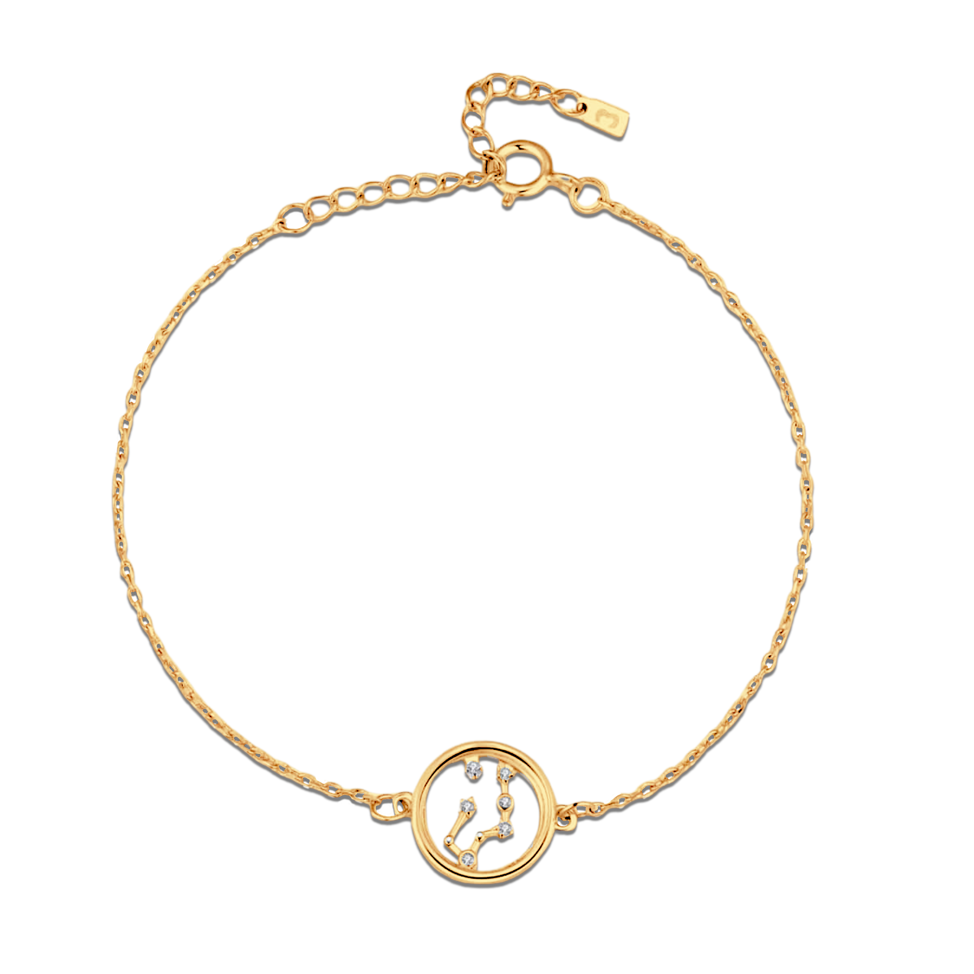 Shining Zodiac Bracelet