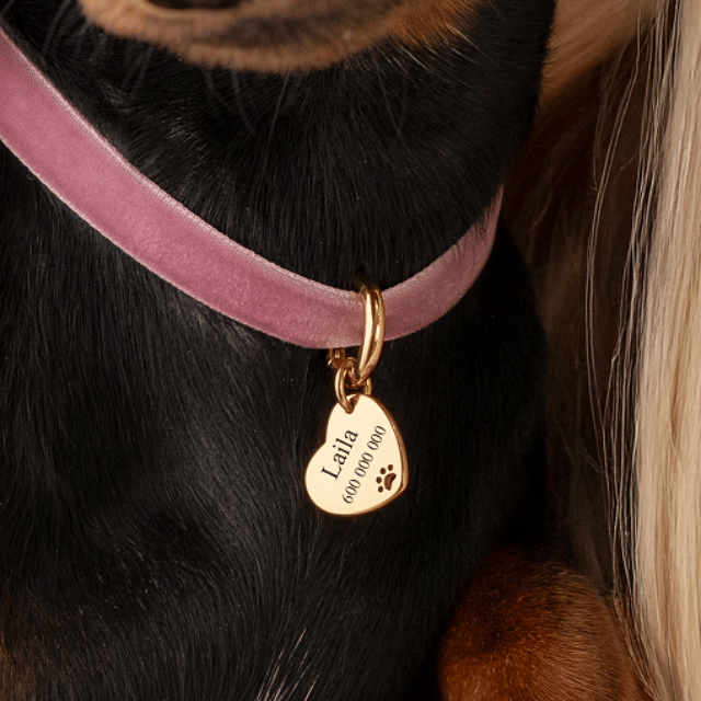 Pet Love Necklace - Personalized - SophiaJewels