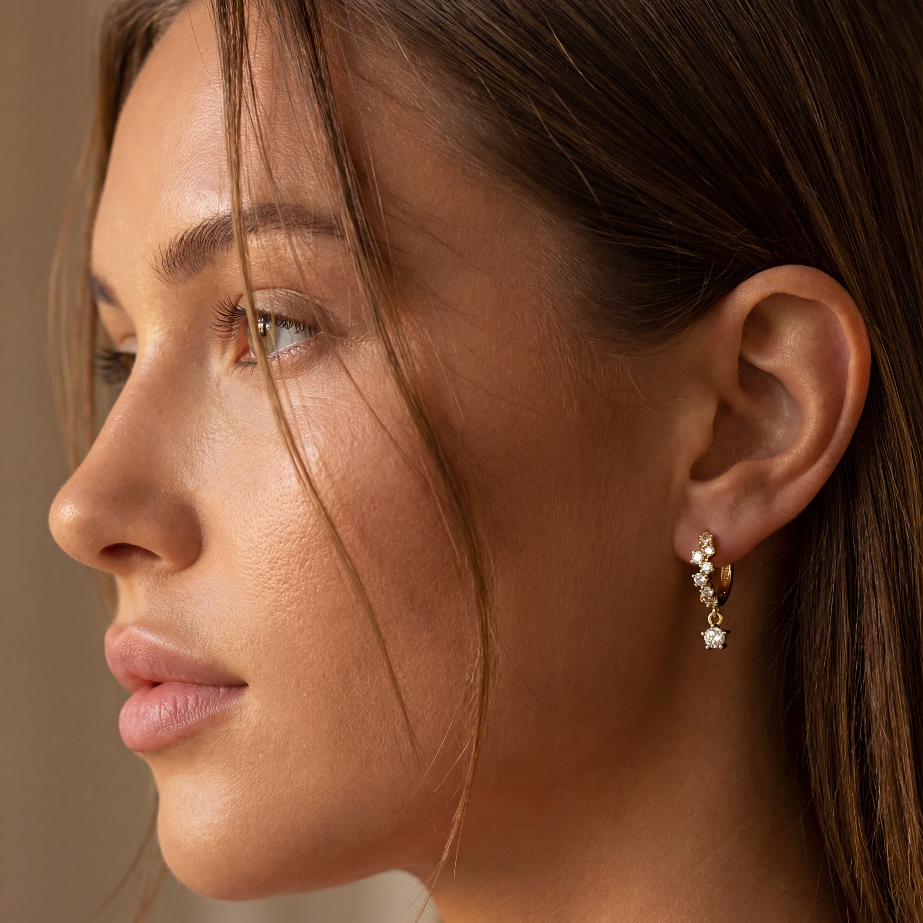 Adamantine Hoops Earrings