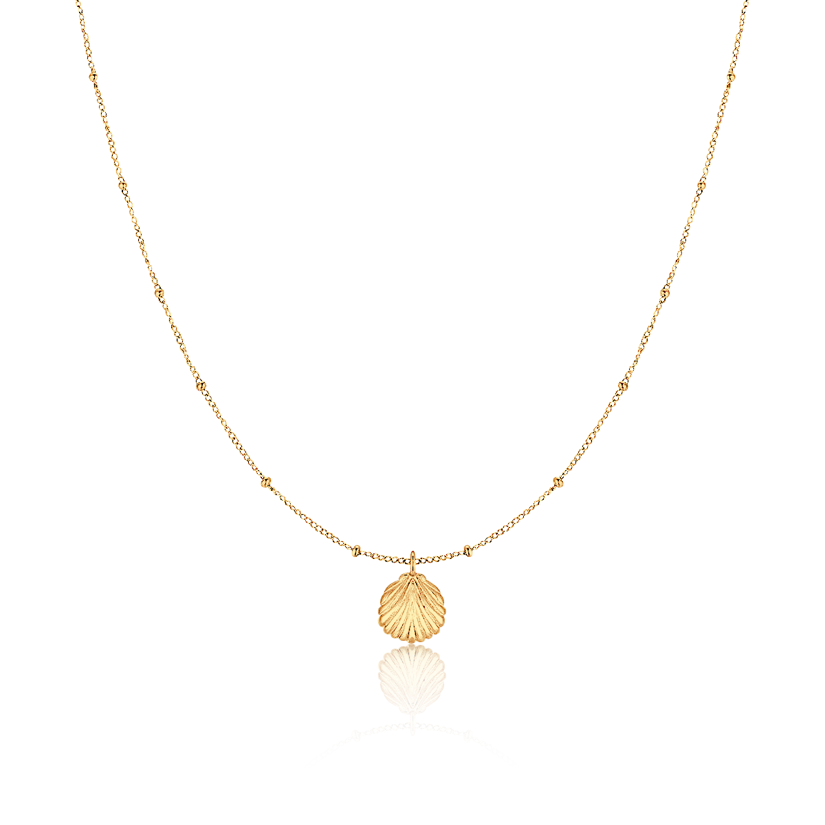 Seashell Necklace