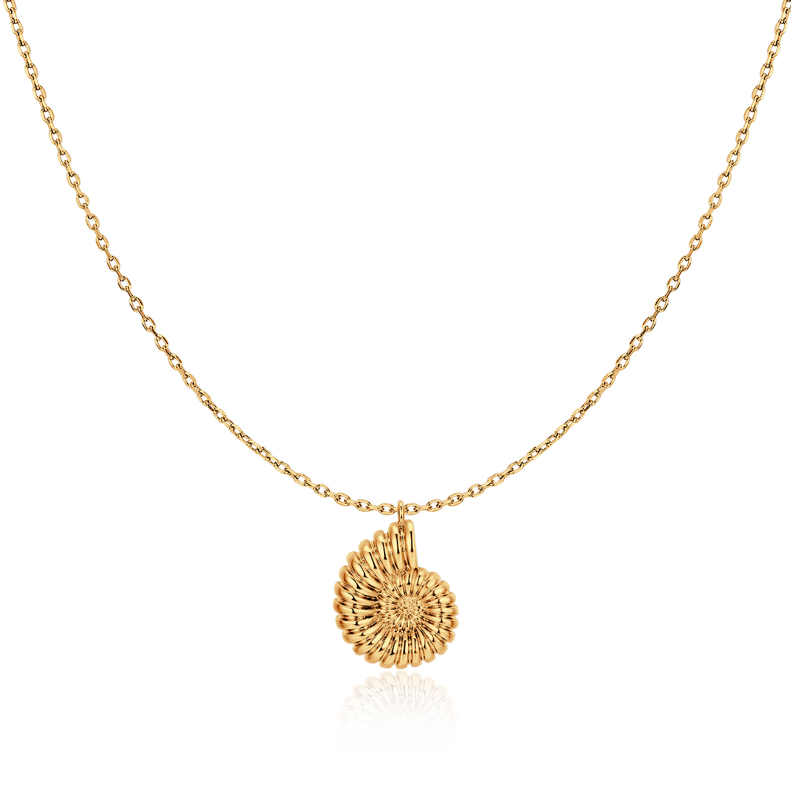 Nautilus Shell Necklace - SophiaJewels