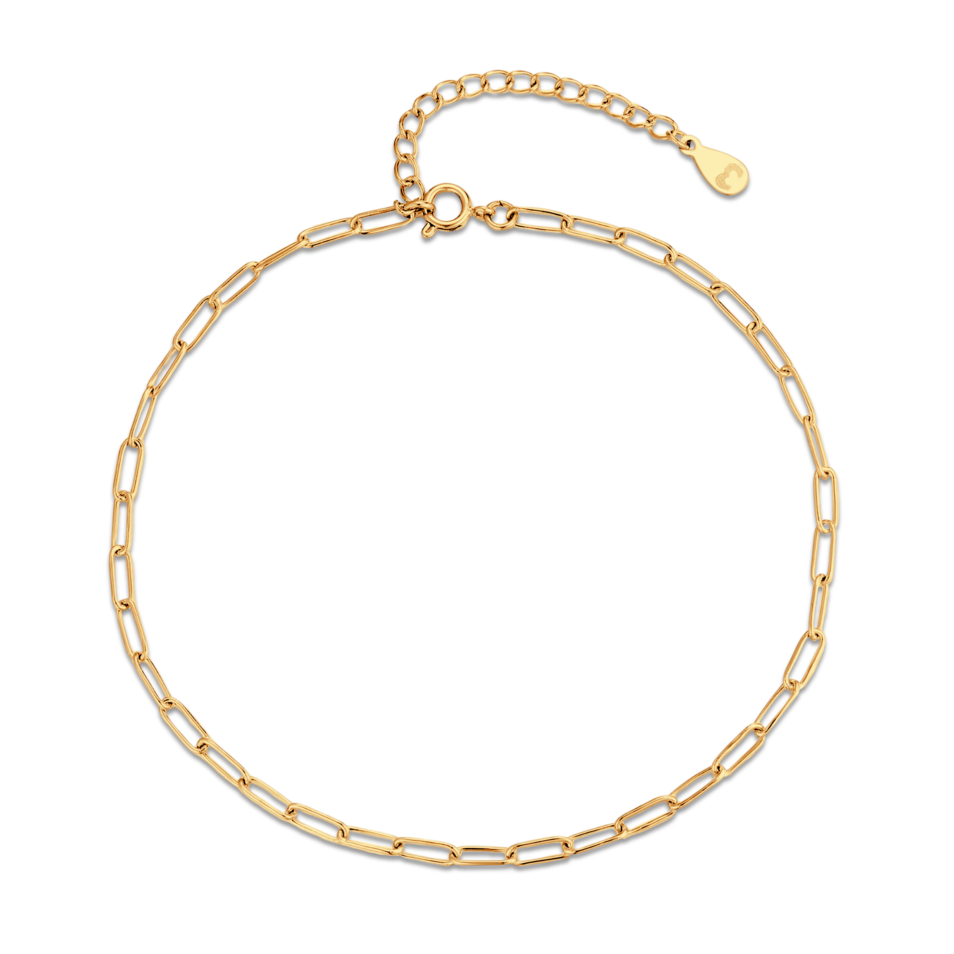 Fine Link Anklet