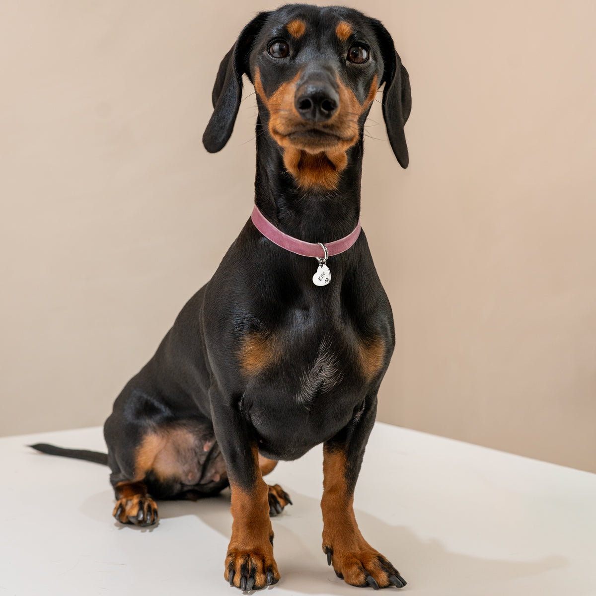 Pet Love Necklace - Personalized - SophiaJewels