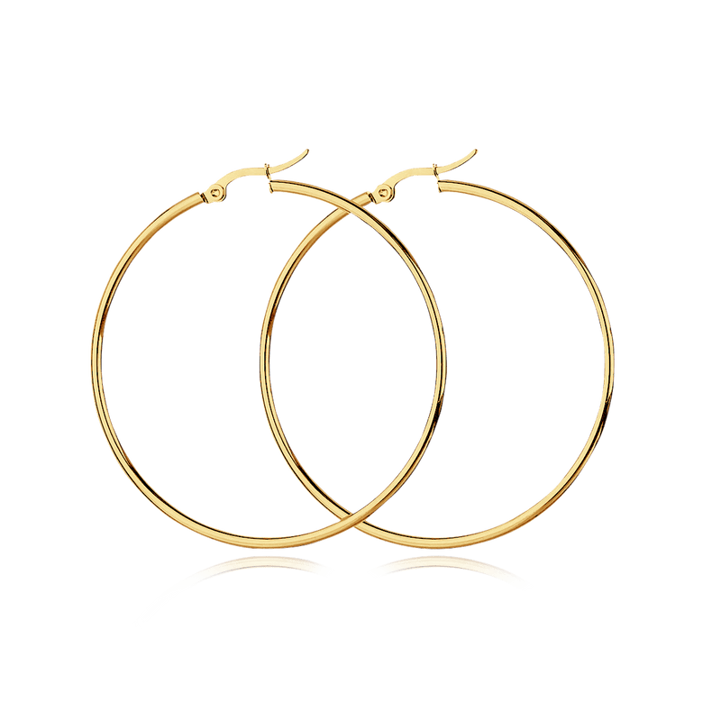 Hoops Earrings - SophiaJewels