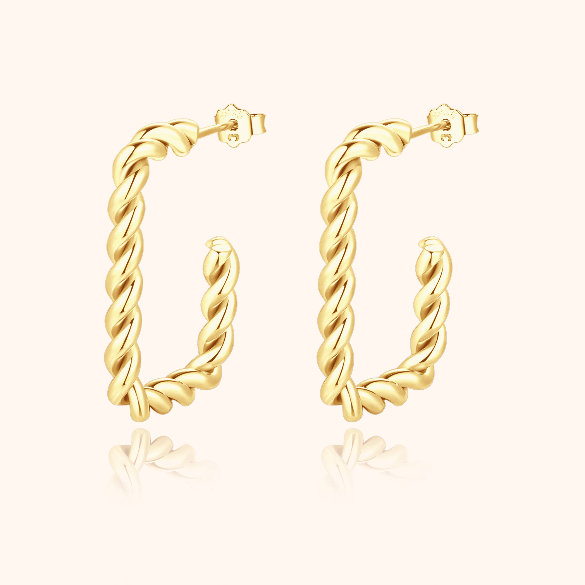 "Twisted Braid" Earrings