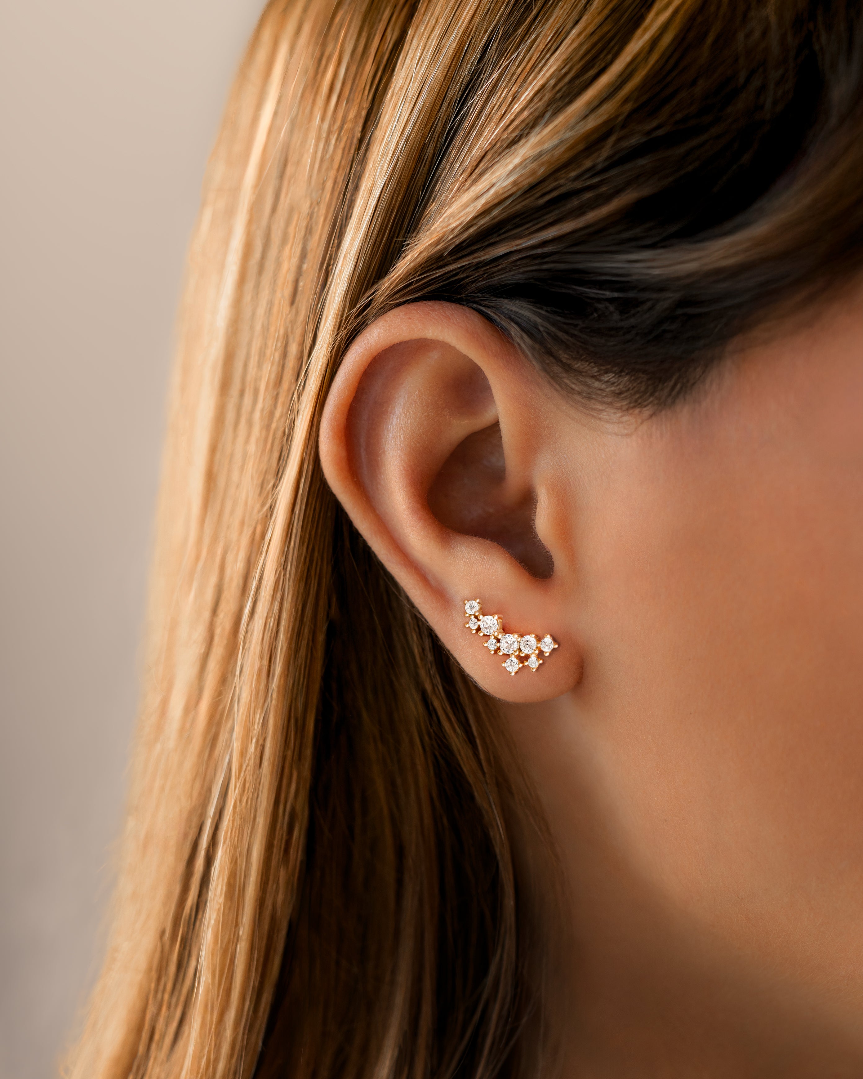Corals Earrings