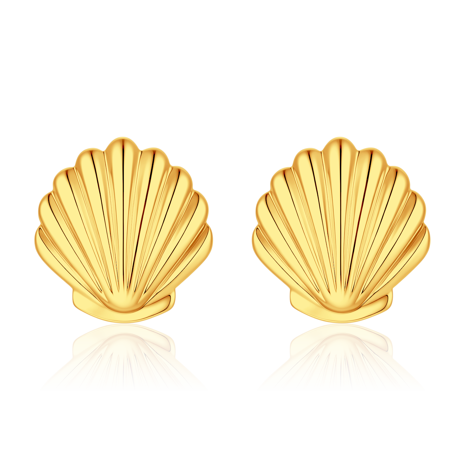 Sea Shell Earrings