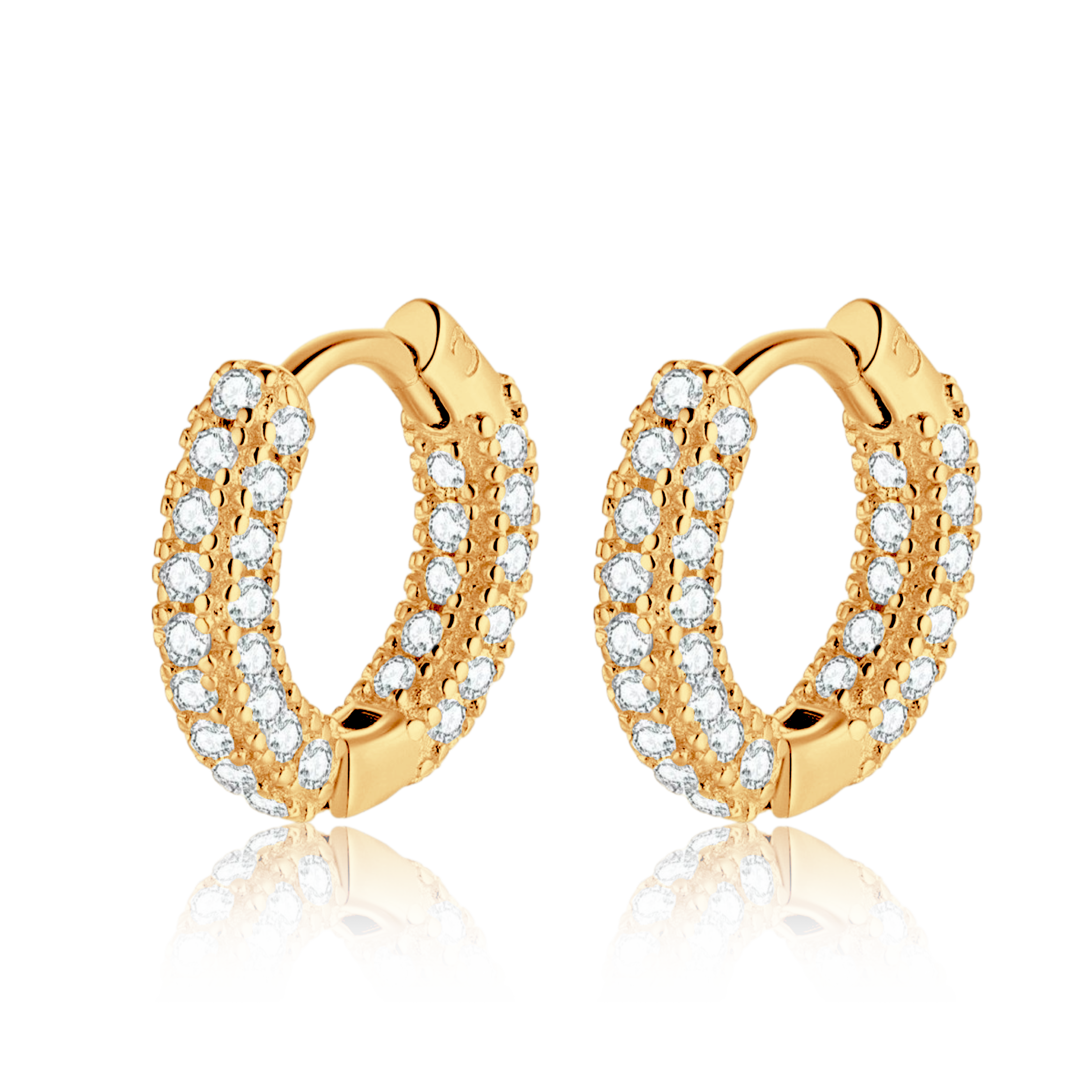 Seductive Hoops Earrings