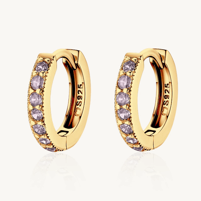 Provocative Earrings