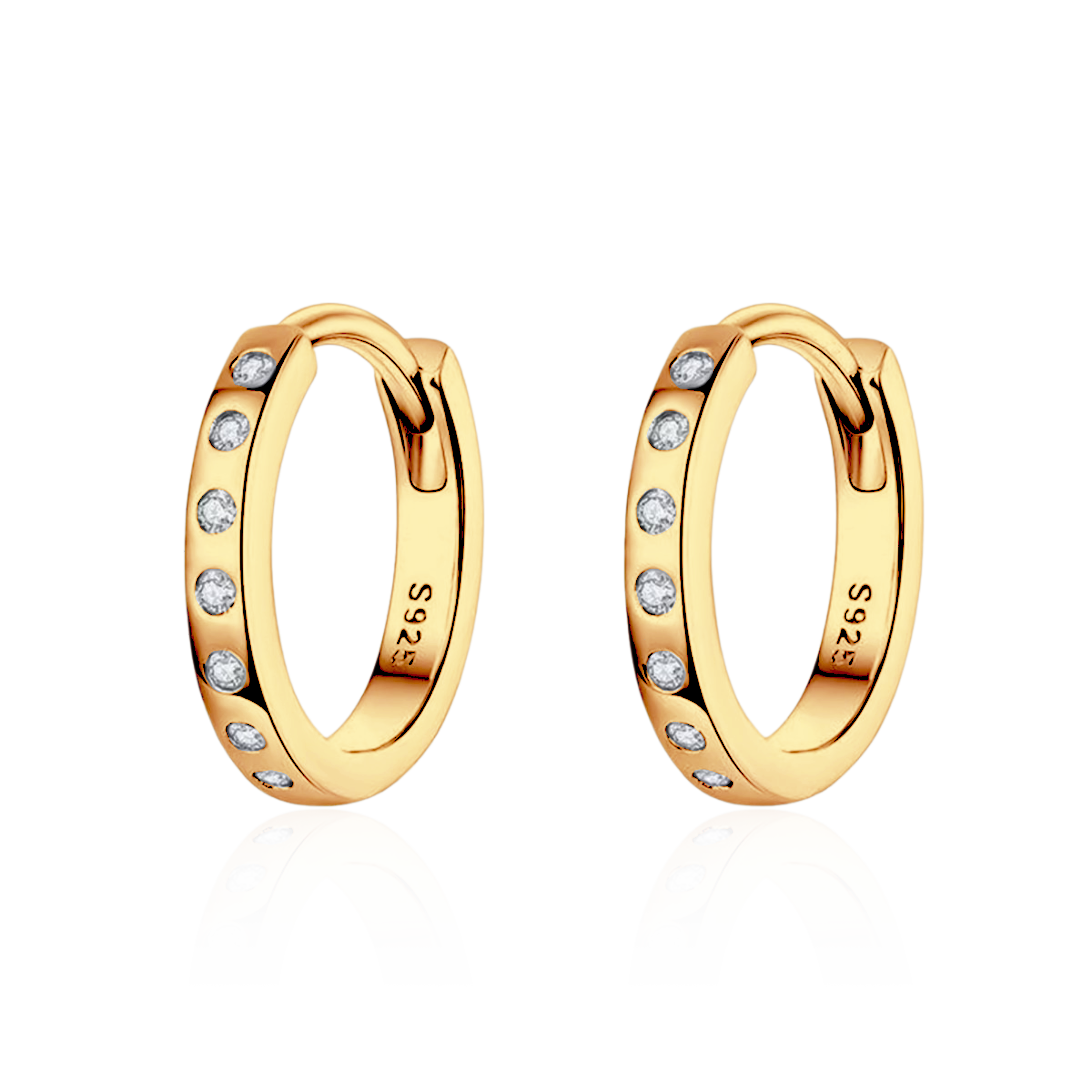 Shiny Hoops Earrings