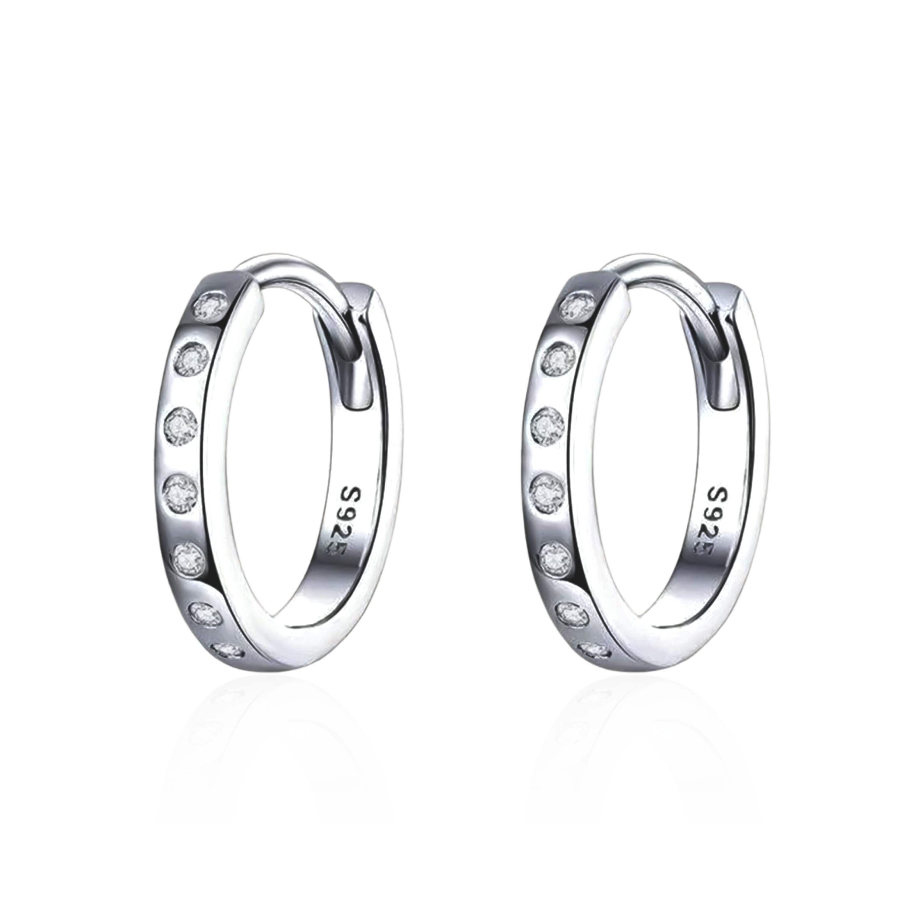 Shiny Hoops Earrings