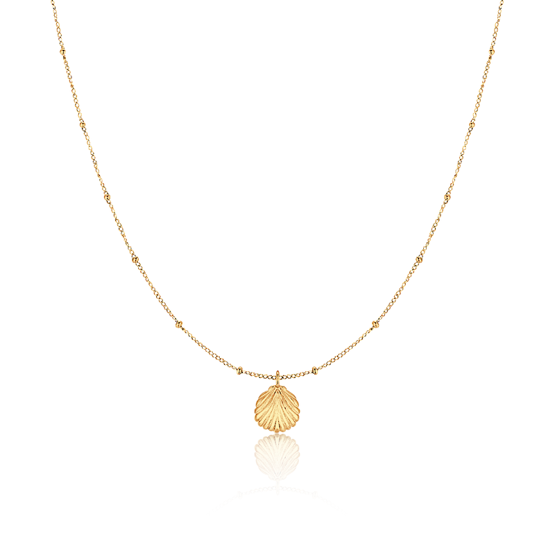 Seashell Necklace