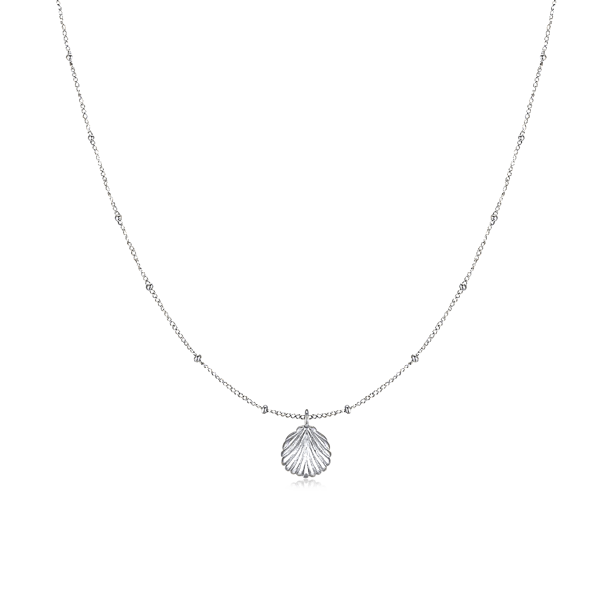 Seashell Necklace