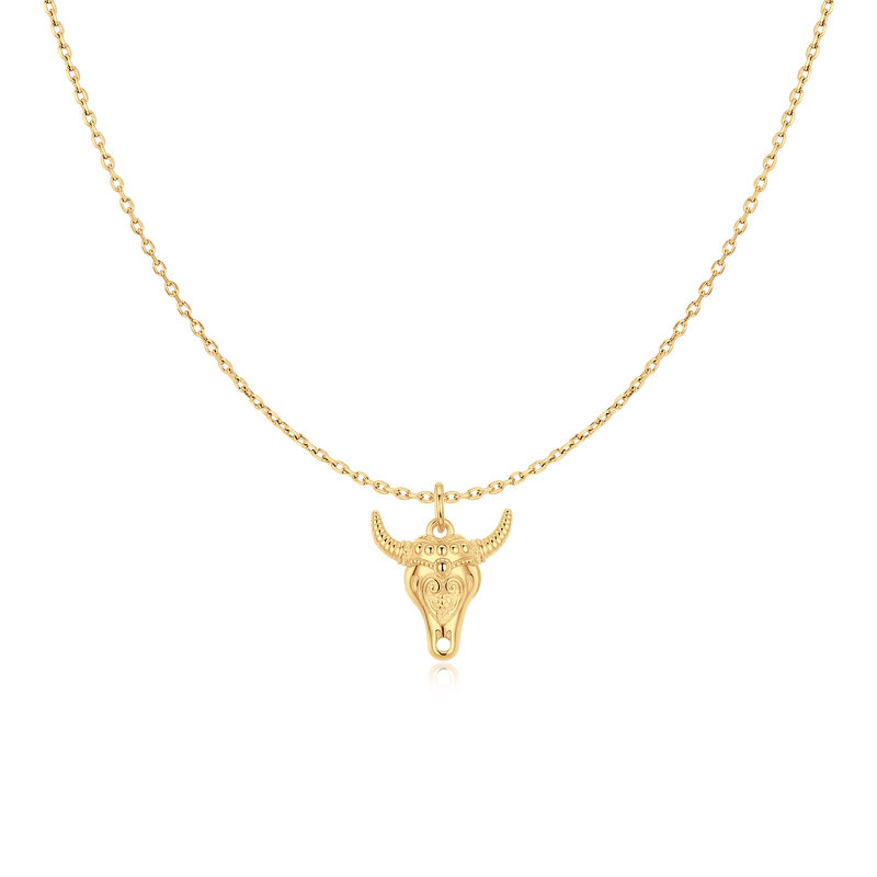 Texas Necklace - SophiaJewels