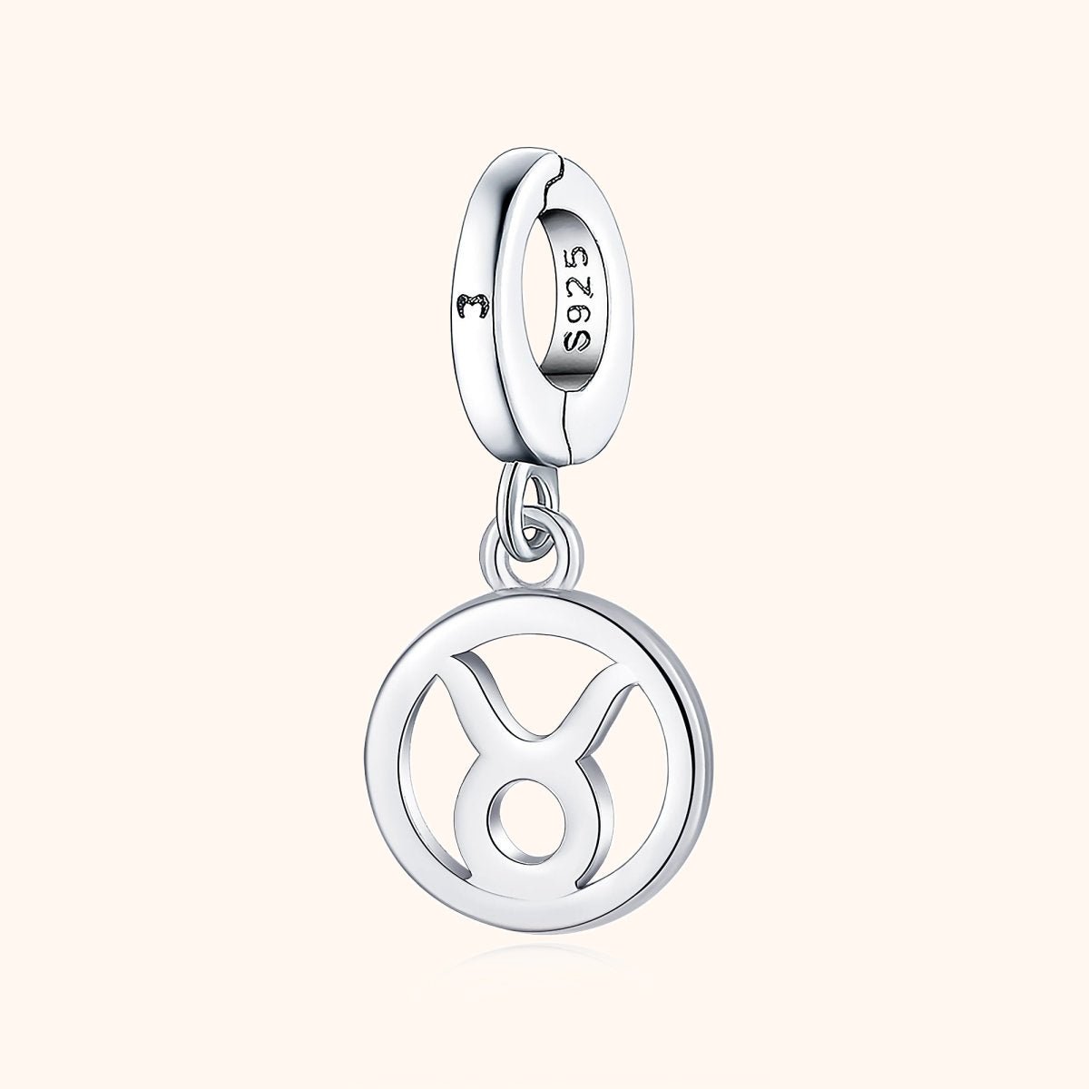 Circular Zodiac Charm