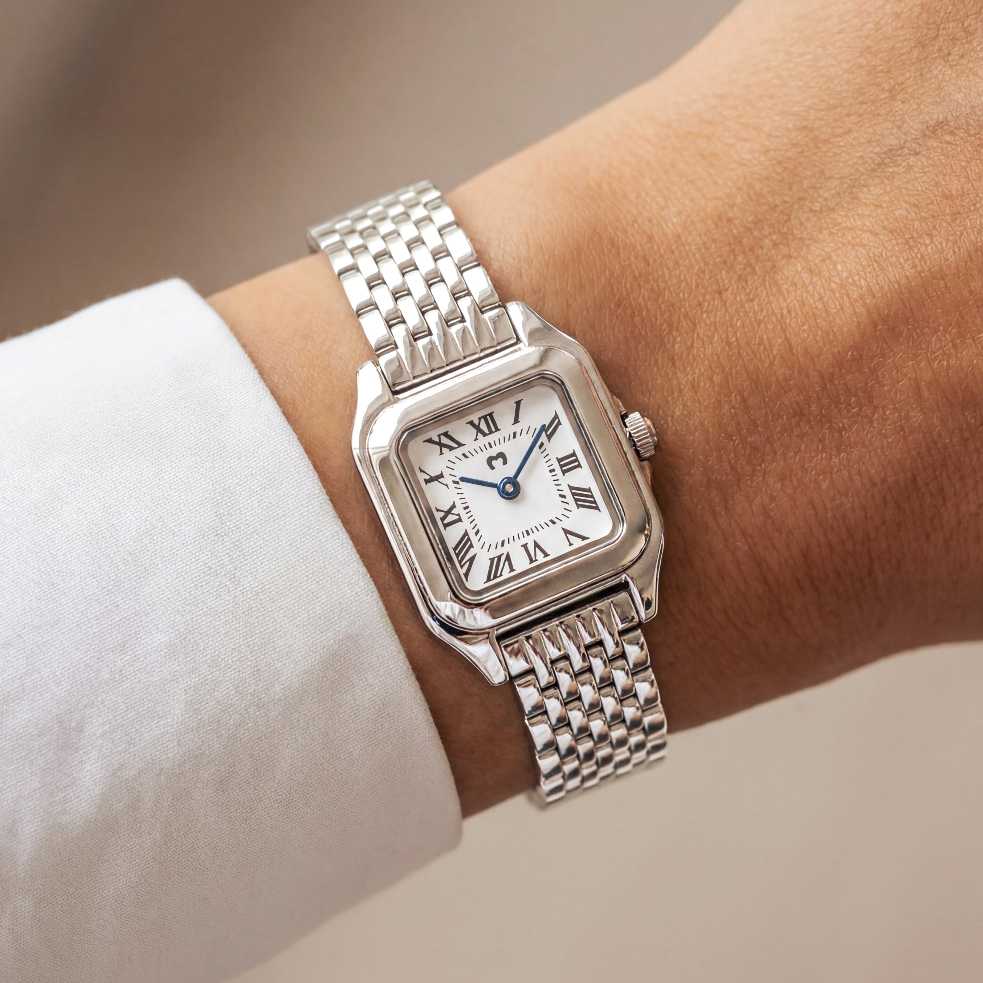 Europe Watch ~ Silver-White