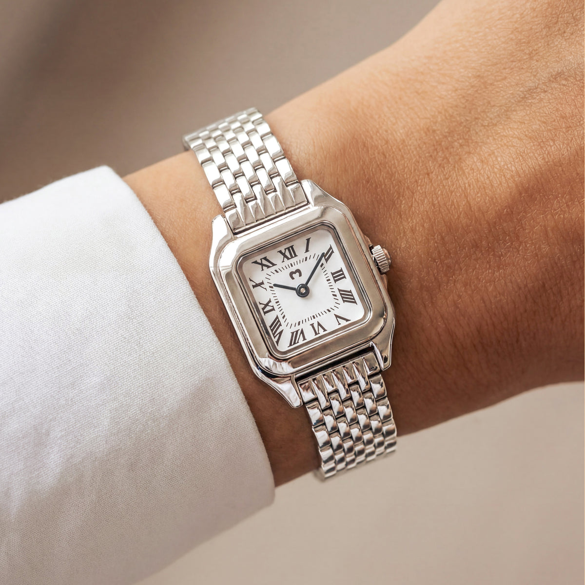 Europe Watch ~ Silver-White