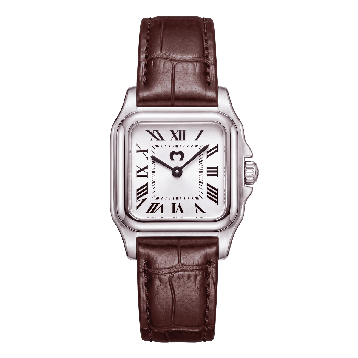 Europe Brown LEATHER Watch ~ Silver-White