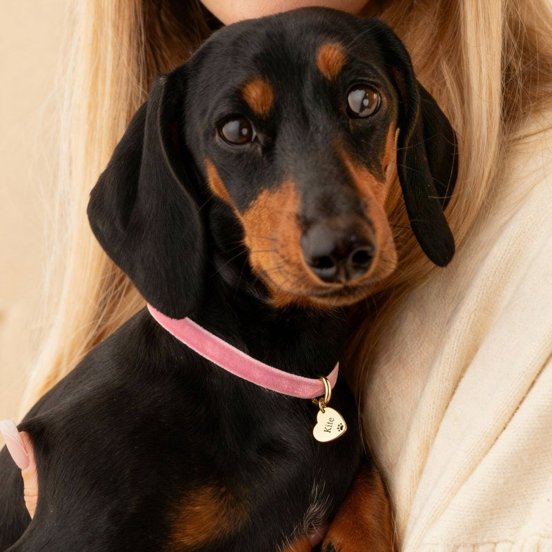 Pet Love Necklace - Personalized - SophiaJewels