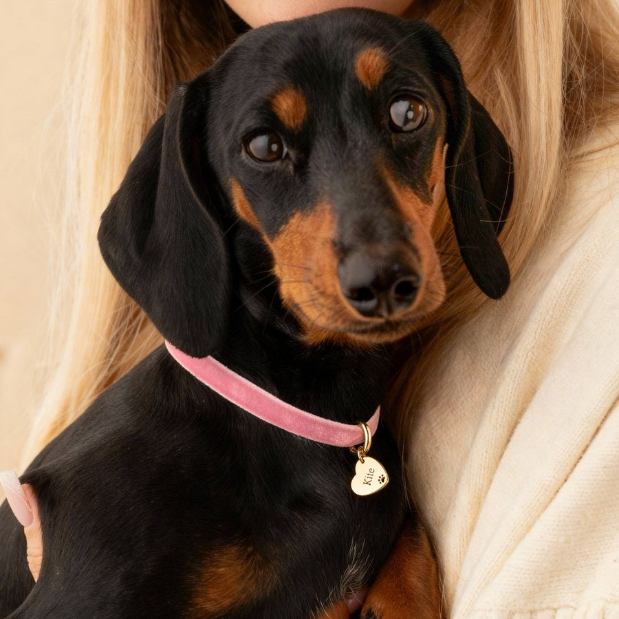 Pet Love Necklace - Personalized - SophiaJewels