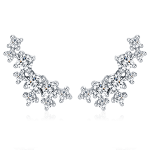 Corals Earrings
