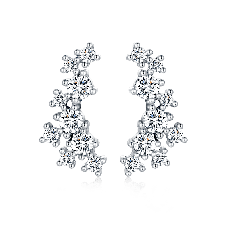 Corals Earrings