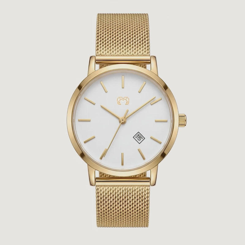 Sophia Jewels Watch ~ GoldWhite