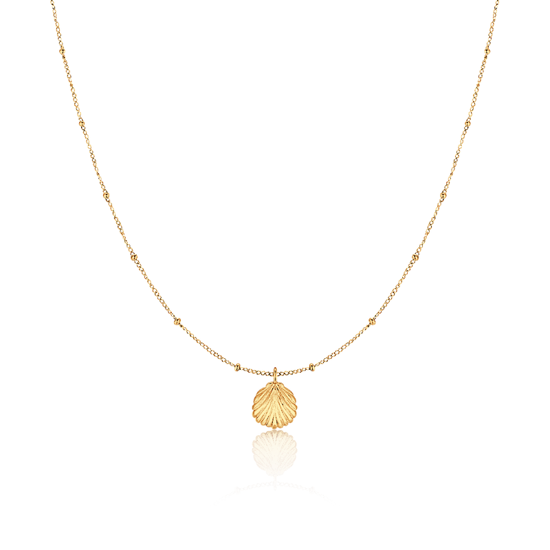 Seashell Necklace