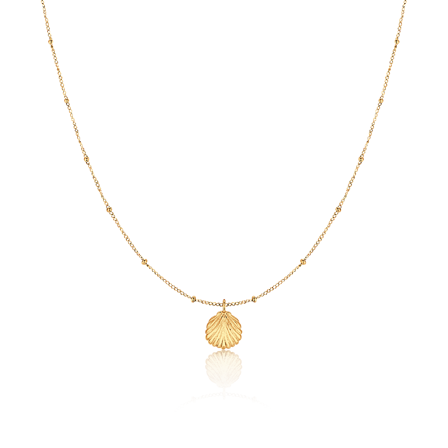 Seashell Necklace
