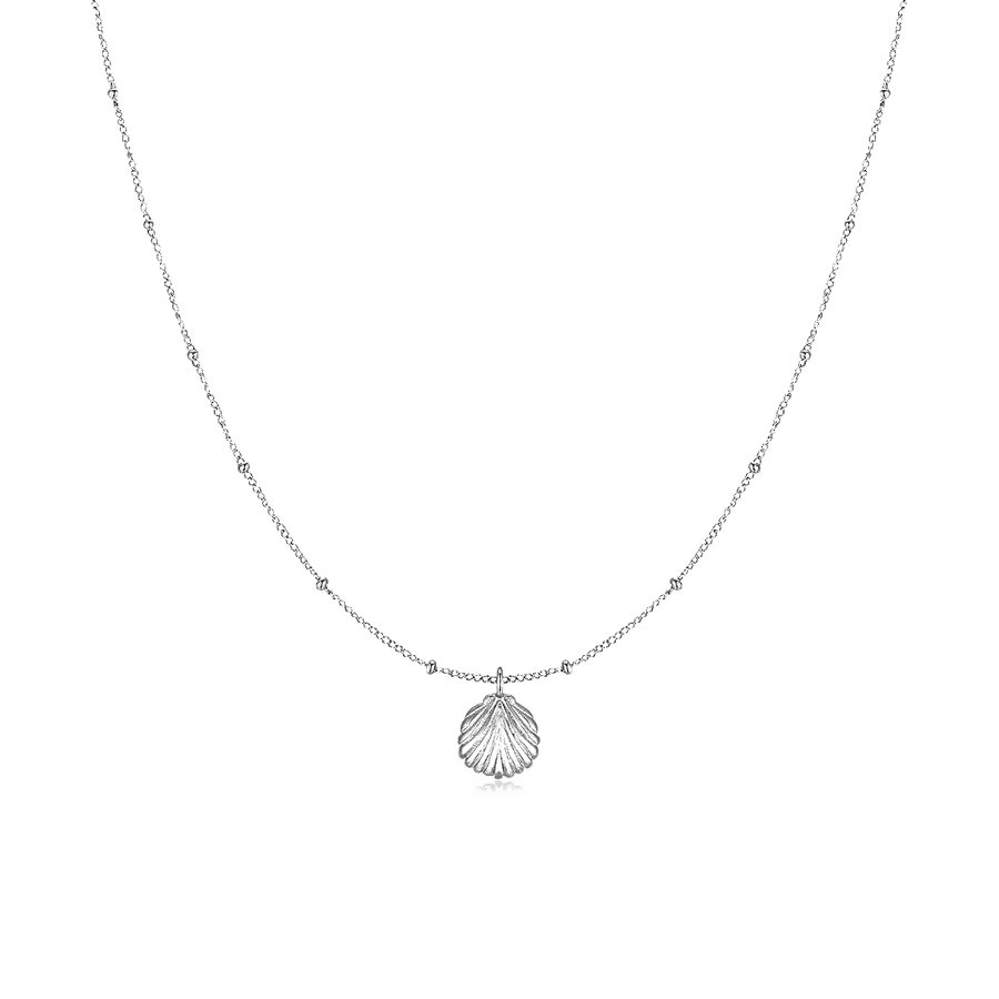 Seashell Necklace