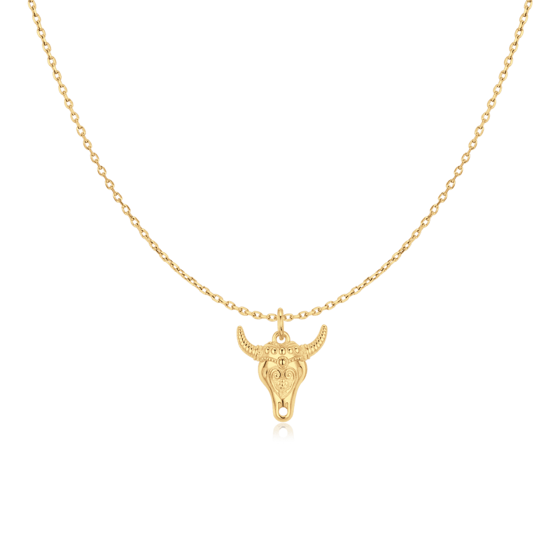 Texas Heart Necklace